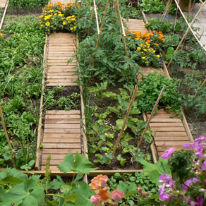 "Naturación y Agricultura Urbanas" "Naturación y Agricultura Urbanas"
