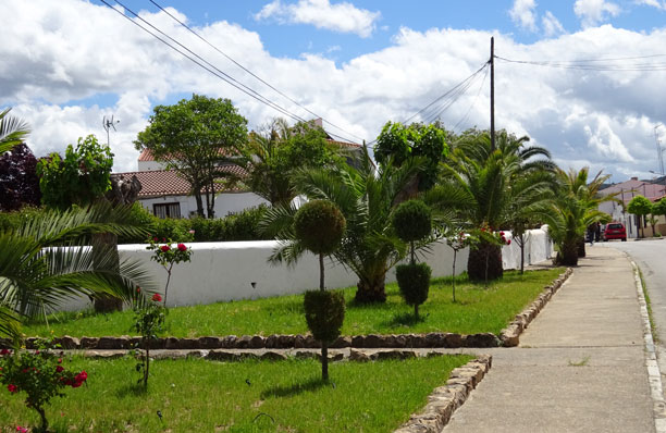 PLAZA DE LA FLORIDA DESDE EL PASEO CENTRAL