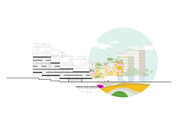 1_PRODUCTIVE-MATRIX-SECTION-ELEVATION