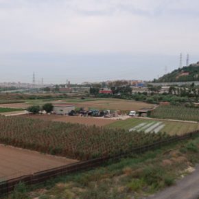 VALLBONA, BARCELONA