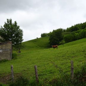 VISITA A LASARTE-ORIA