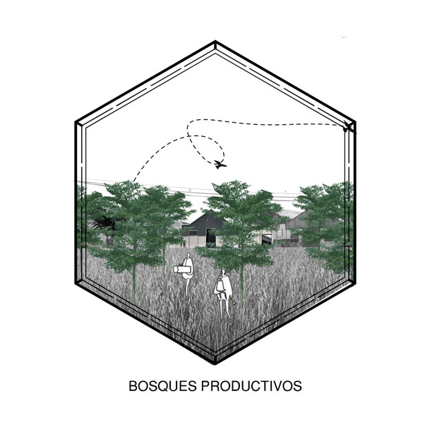 Imagen que contiene exterior, edificio, árbol

Descripción generada automáticamente