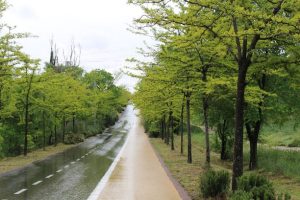 Visita a los 5 emplazamientos de Madrid. 22/04/2021